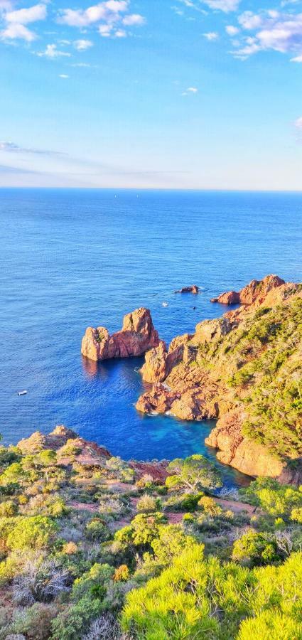 Plage A 3 Minutes A Pied Saint-Raphaël 外观 照片